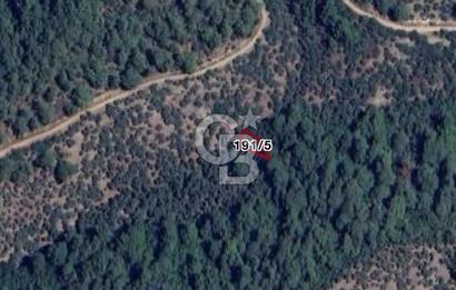 Bayındır Kaplıcalar Ve Kadastral Yol Yakını Müstakil Tapulu 297 M2 Fırsat Zeytinlik