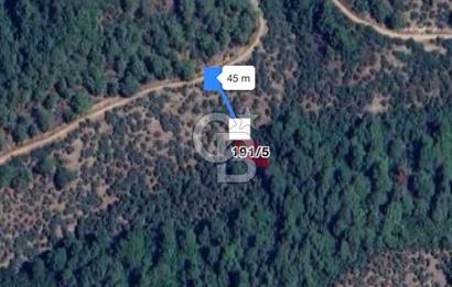 Bayındır Kaplıcalar Ve Kadastral Yol Yakını Müstakil Tapulu 297 M2 Fırsat Zeytinlik