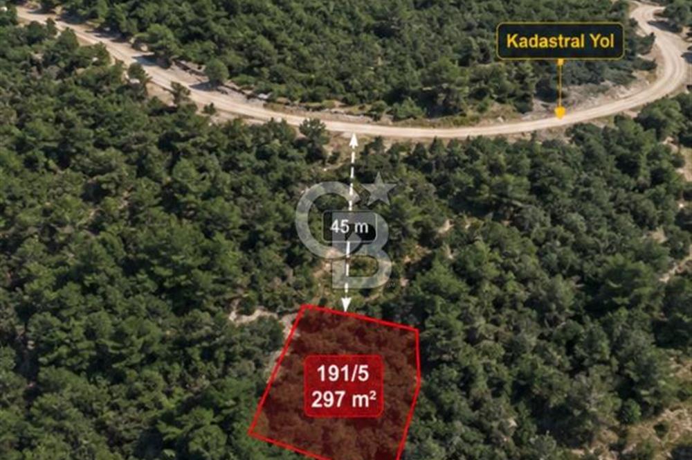 Bayındır Kaplıcalar Ve Kadastral Yol Yakını Müstakil Tapulu 297 M2 Fırsat Zeytinlik