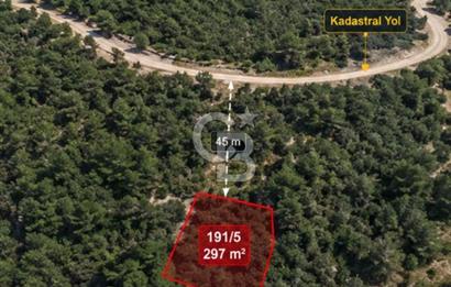 Bayındır Kaplıcalar Ve Kadastral Yol Yakını Müstakil Tapulu 297 M2 Fırsat Zeytinlik