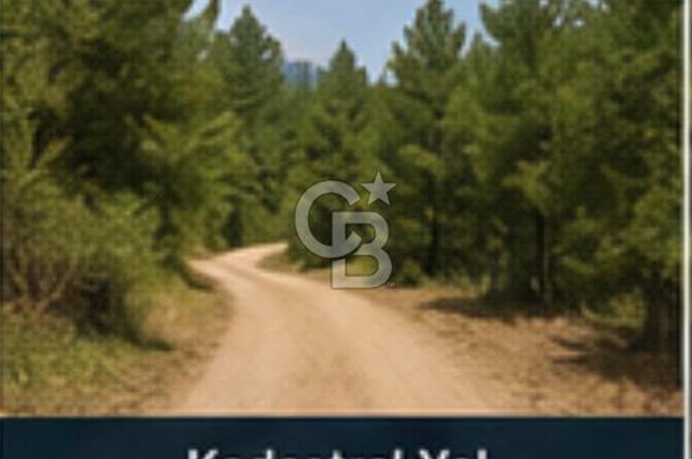 Bayındır Kaplıcalar Ve Kadastral Yol Yakını Müstakil Tapulu 297 M2 Fırsat Zeytinlik