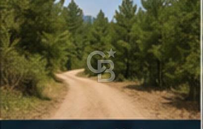 Bayındır Kaplıcalar Ve Kadastral Yol Yakını Müstakil Tapulu 297 M2 Fırsat Zeytinlik