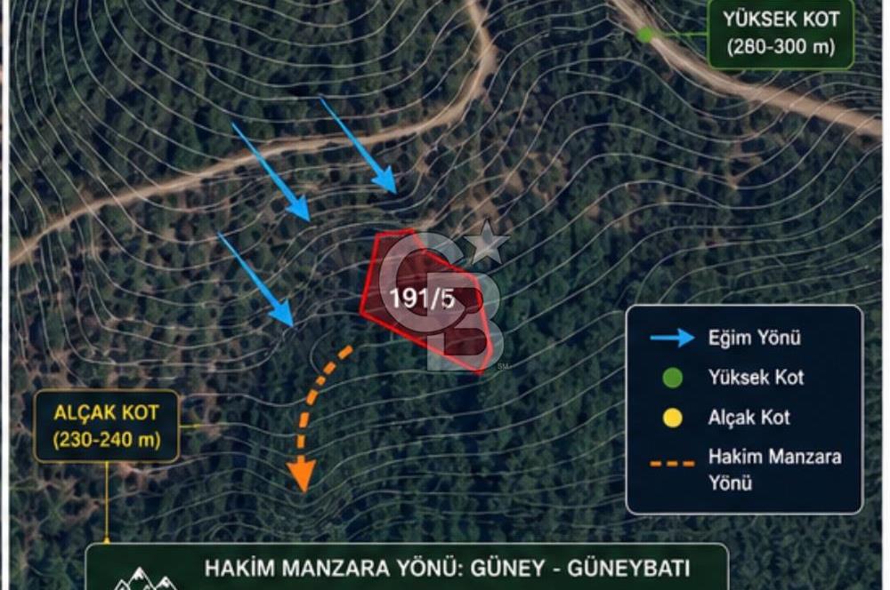 Bayındır Kaplıcalar Ve Kadastral Yol Yakını Müstakil Tapulu 297 M2 Fırsat Zeytinlik