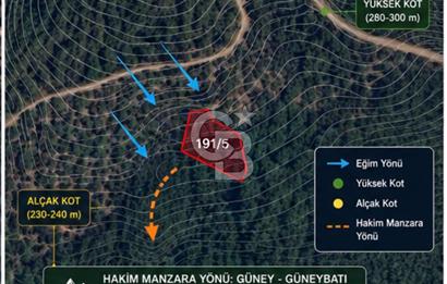 Bayındır Kaplıcalar Ve Kadastral Yol Yakını Müstakil Tapulu 297 M2 Fırsat Zeytinlik
