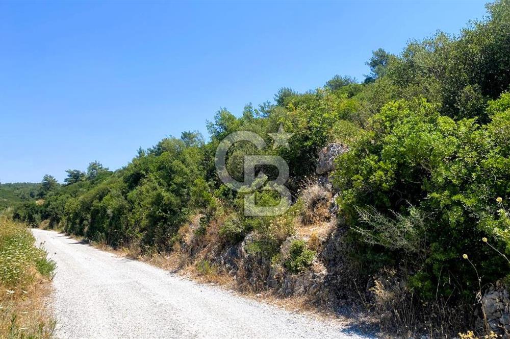 Urla Torasan’da Asfalt Cepheli, Deniz Manzaralı Eşsiz Arazi