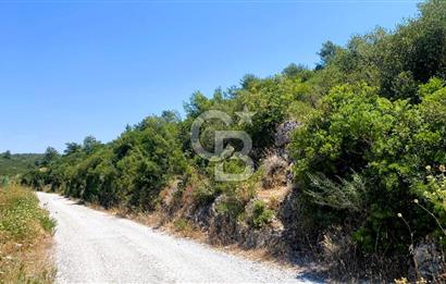 Urla Torasan’da Asfalt Cepheli, Deniz Manzaralı Eşsiz Arazi