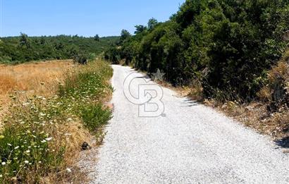 Urla Torasan’da Asfalt Cepheli, Deniz Manzaralı Eşsiz Arazi