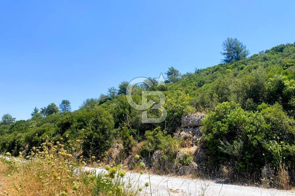 Urla Torasan’da Asfalt Cepheli, Deniz Manzaralı Eşsiz Arazi