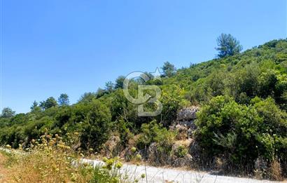 Urla Torasan’da Asfalt Cepheli, Deniz Manzaralı Eşsiz Arazi