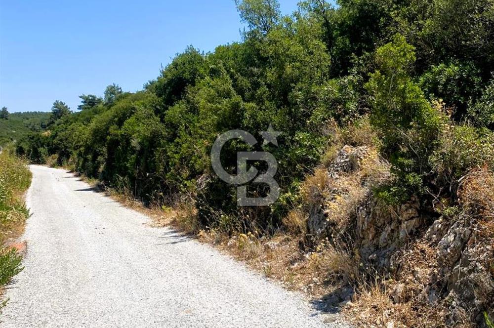 Urla Torasan’da Asfalt Cepheli, Deniz Manzaralı Eşsiz Arazi