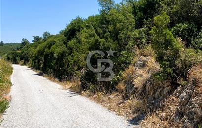 Urla Torasan’da Asfalt Cepheli, Deniz Manzaralı Eşsiz Arazi