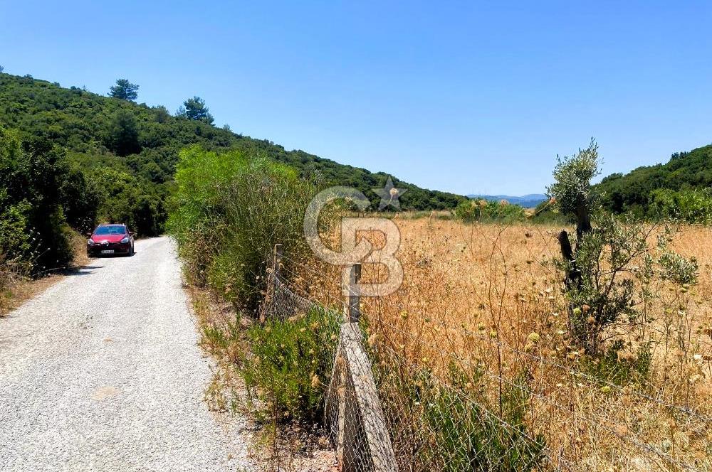 Urla Torasan’da Asfalt Cepheli, Deniz Manzaralı Eşsiz Arazi