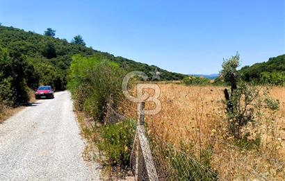 Urla Torasan’da Asfalt Cepheli, Deniz Manzaralı Eşsiz Arazi
