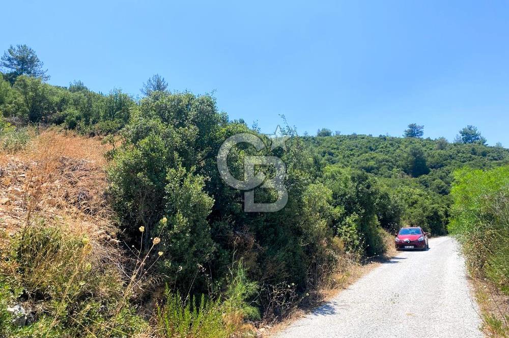 Urla Torasan’da Asfalt Cepheli, Deniz Manzaralı Eşsiz Arazi