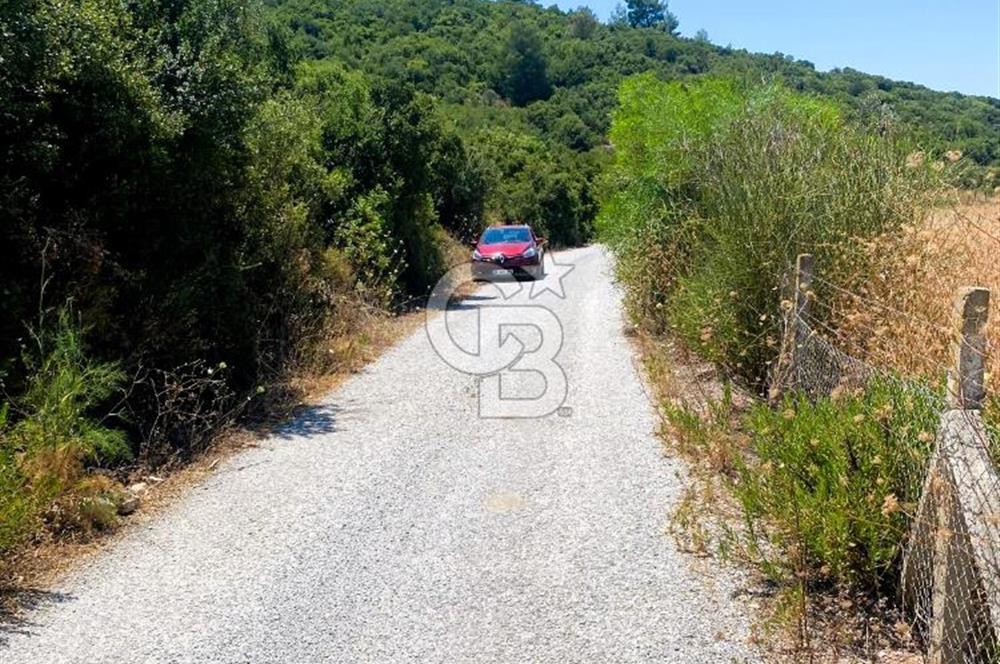 Urla Torasan’da Asfalt Cepheli, Deniz Manzaralı Eşsiz Arazi