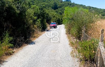 Urla Torasan’da Asfalt Cepheli, Deniz Manzaralı Eşsiz Arazi