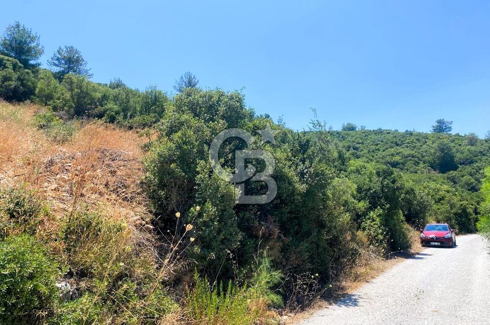 Urla Torasan’da Asfalt Cepheli, Deniz Manzaralı Eşsiz Arazi