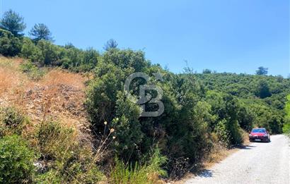 Urla Torasan’da Asfalt Cepheli, Deniz Manzaralı Eşsiz Arazi