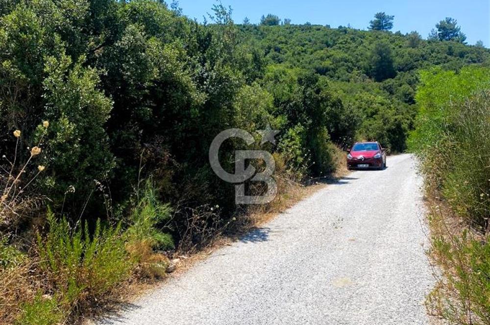 Urla Torasan’da Asfalt Cepheli, Deniz Manzaralı Eşsiz Arazi