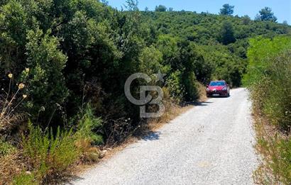 Urla Torasan’da Asfalt Cepheli, Deniz Manzaralı Eşsiz Arazi