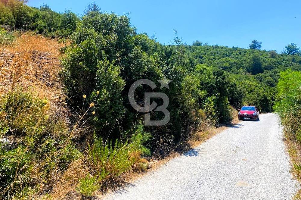Urla Torasan’da Asfalt Cepheli, Deniz Manzaralı Eşsiz Arazi