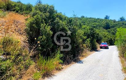 Urla Torasan’da Asfalt Cepheli, Deniz Manzaralı Eşsiz Arazi