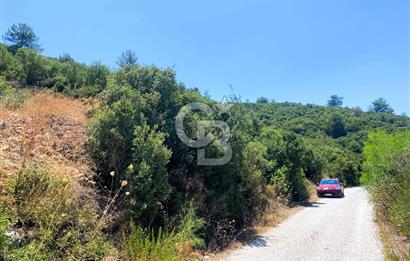 Urla Torasan’da Asfalt Cepheli, Deniz Manzaralı Eşsiz Arazi