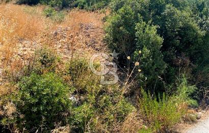 Urla Torasan’da Asfalt Cepheli, Deniz Manzaralı Eşsiz Arazi