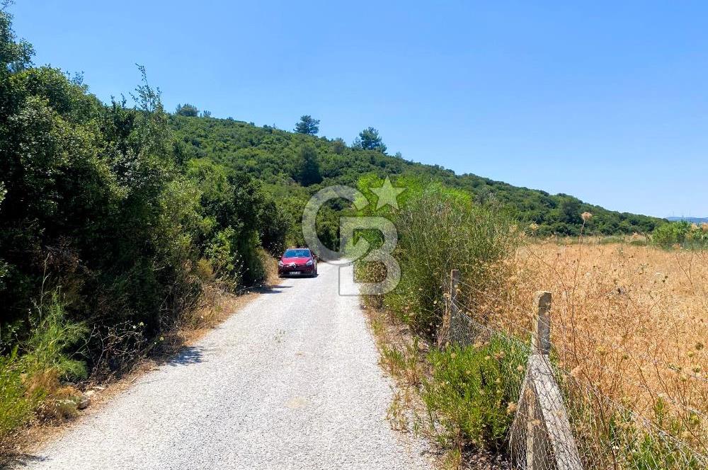 Urla Torasan’da Asfalt Cepheli, Deniz Manzaralı Eşsiz Arazi