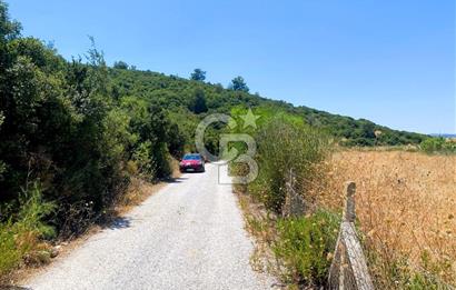 Urla Torasan’da Asfalt Cepheli, Deniz Manzaralı Eşsiz Arazi