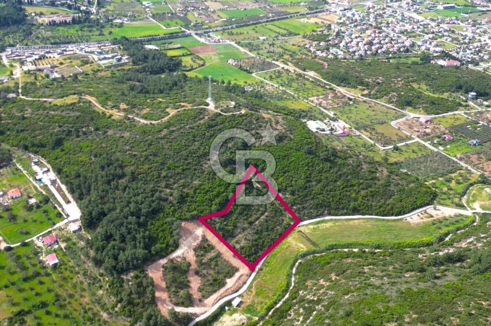 Urla Torasan’da Asfalt Cepheli, Deniz Manzaralı Eşsiz Arazi