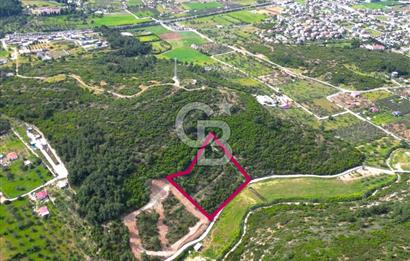 Urla Torasan’da Asfalt Cepheli, Deniz Manzaralı Eşsiz Arazi