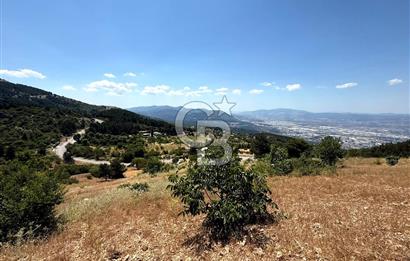 MANİSA YUNUSEMRE TURGUTALP MAHALLESİNDE SATILIK MEYVE BAHÇESİ