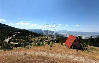 MANİSA YUNUSEMRE TURGUTALP MAHALLESİNDE SATILIK MEYVE BAHÇESİ