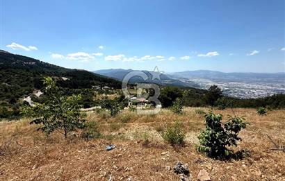 MANİSA YUNUSEMRE TURGUTALP MAHALLESİNDE SATILIK MEYVE BAHÇESİ