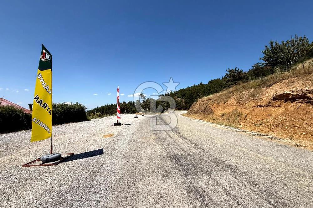 MANİSA YUNUSEMRE TURGUTALP MAHALLESİNDE SATILIK MEYVE BAHÇESİ