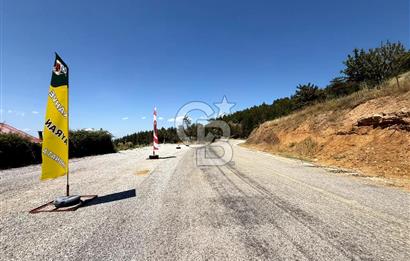 MANİSA YUNUSEMRE TURGUTALP MAHALLESİNDE SATILIK MEYVE BAHÇESİ