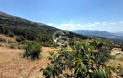 MANİSA YUNUSEMRE TURGUTALP MAHALLESİNDE SATILIK MEYVE BAHÇESİ