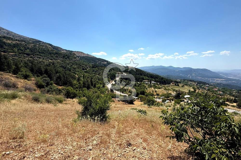 MANİSA YUNUSEMRE TURGUTALP MAHALLESİNDE SATILIK MEYVE BAHÇESİ