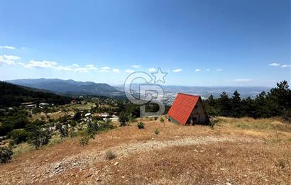 MANİSA YUNUSEMRE TURGUTALP MAHALLESİNDE SATILIK MEYVE BAHÇESİ