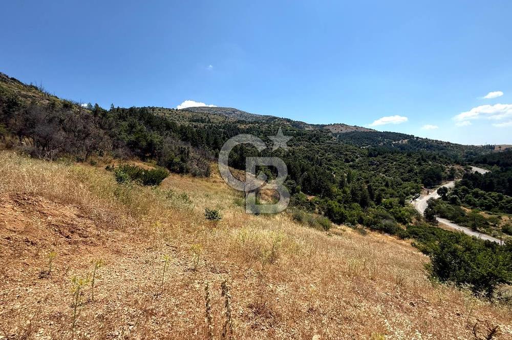 MANİSA YUNUSEMRE TURGUTALP MAHALLESİNDE SATILIK MEYVE BAHÇESİ