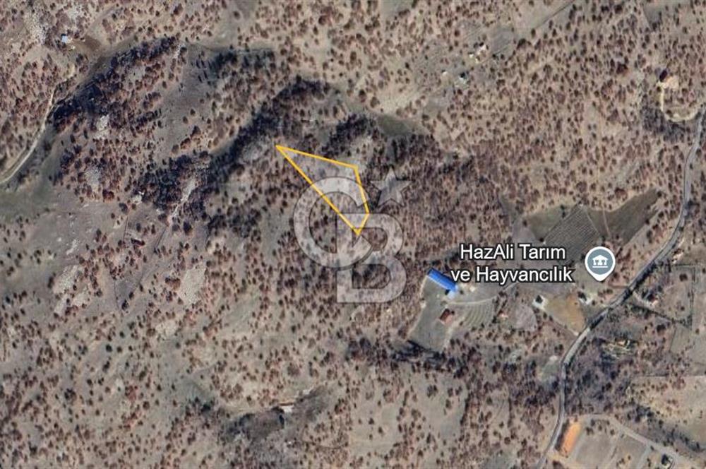 CB ODAK'TAN Ankara Elmadağ'da Satılık 7.66 dönüm Tarla