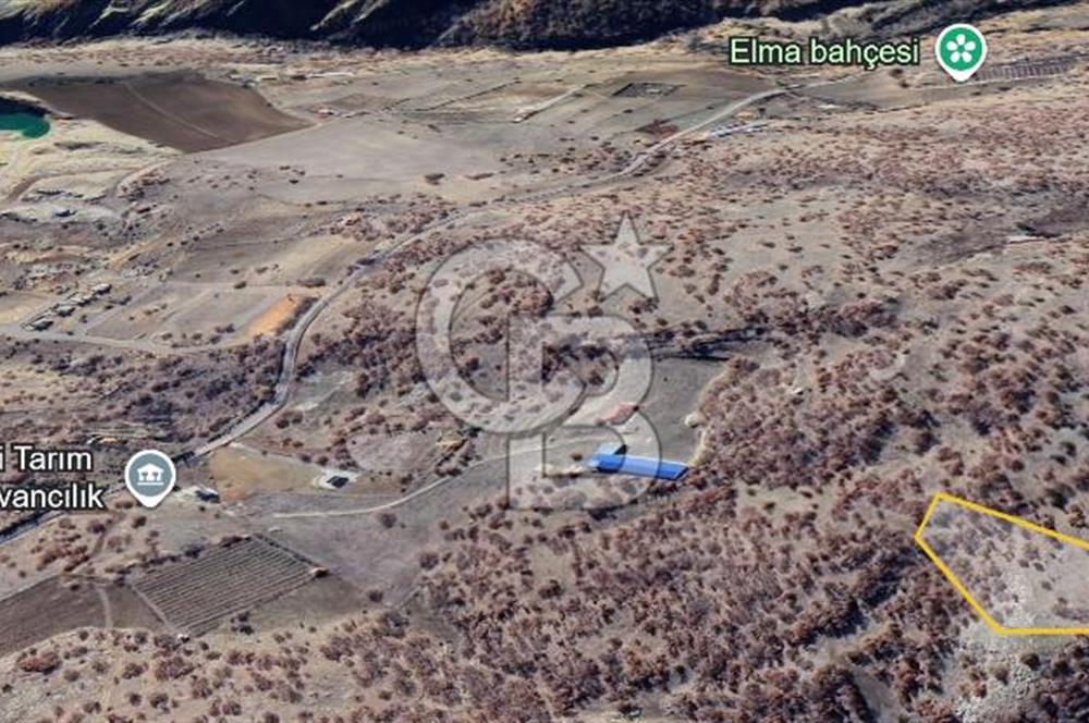 CB ODAK'TAN Ankara Elmadağ'da Satılık 7.66 dönüm Tarla