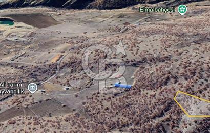 CB ODAK'TAN Ankara Elmadağ'da Satılık 7.66 dönüm Tarla
