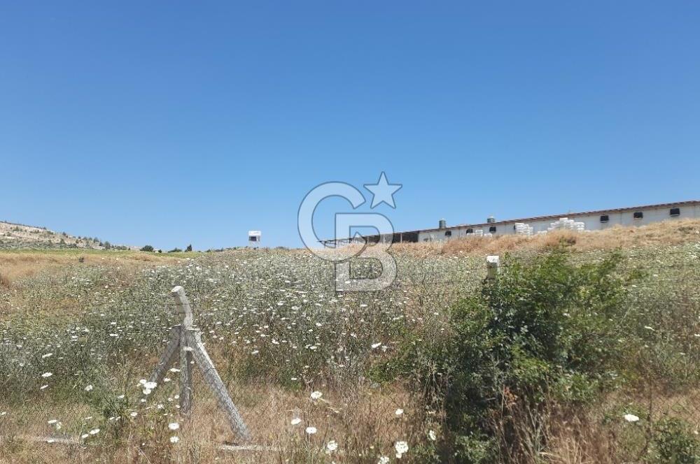 Kahramankazan Karalar Mahallesi'nde Üretim Tesislerine Komşu 6.323 m² Satılık Tarla