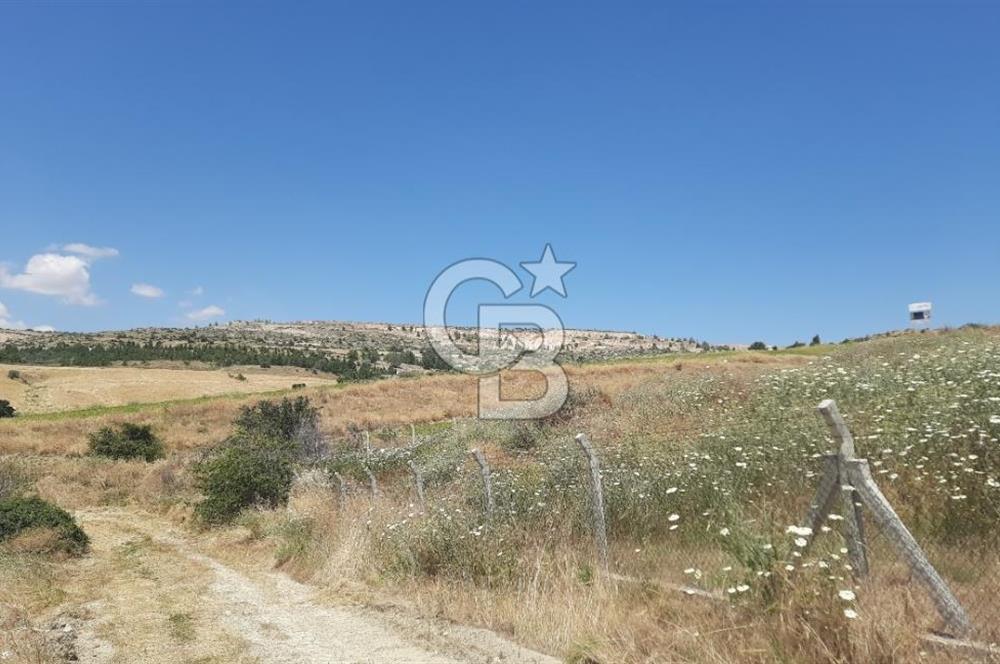 Kahramankazan Karalar Mahallesi'nde Üretim Tesislerine Komşu 6.323 m² Satılık Tarla