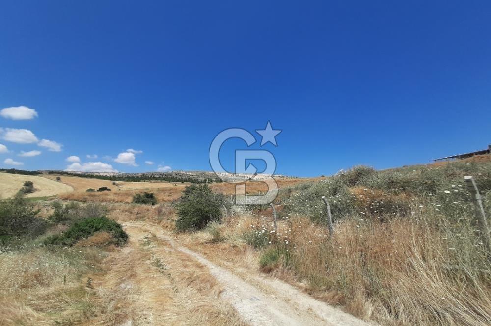Kahramankazan Karalar Mahallesi'nde Üretim Tesislerine Komşu 6.323 m² Satılık Tarla