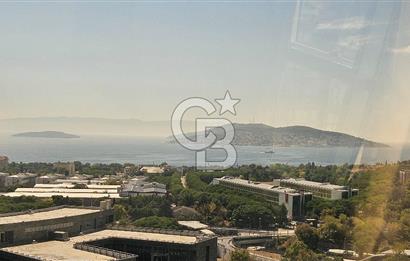 DAP VAZO KULEDE KİRALIK STÜDYO EŞYALI DAİRE
