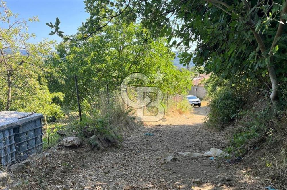 BİGA EYBEKLİ KÖY İÇİ, 2.5 KAT VİLLA İMARLI, MÜSTAKİL PARSEL