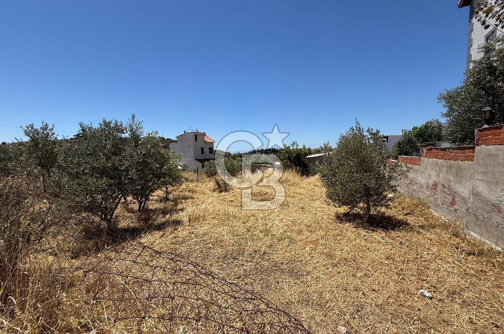 ÇANDARLI MAVİKENT’TE DOĞAYLA İÇ İÇE 310 M² VİLLA İMARLI SATILIK ARSA